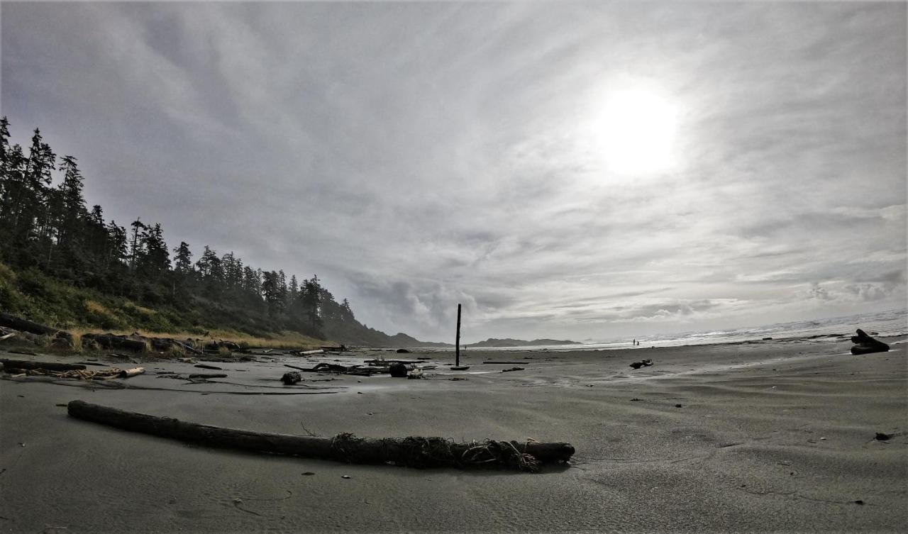 Cobble Wood And Bird Sanctuary Guest Houses Tofino Dış mekan fotoğraf