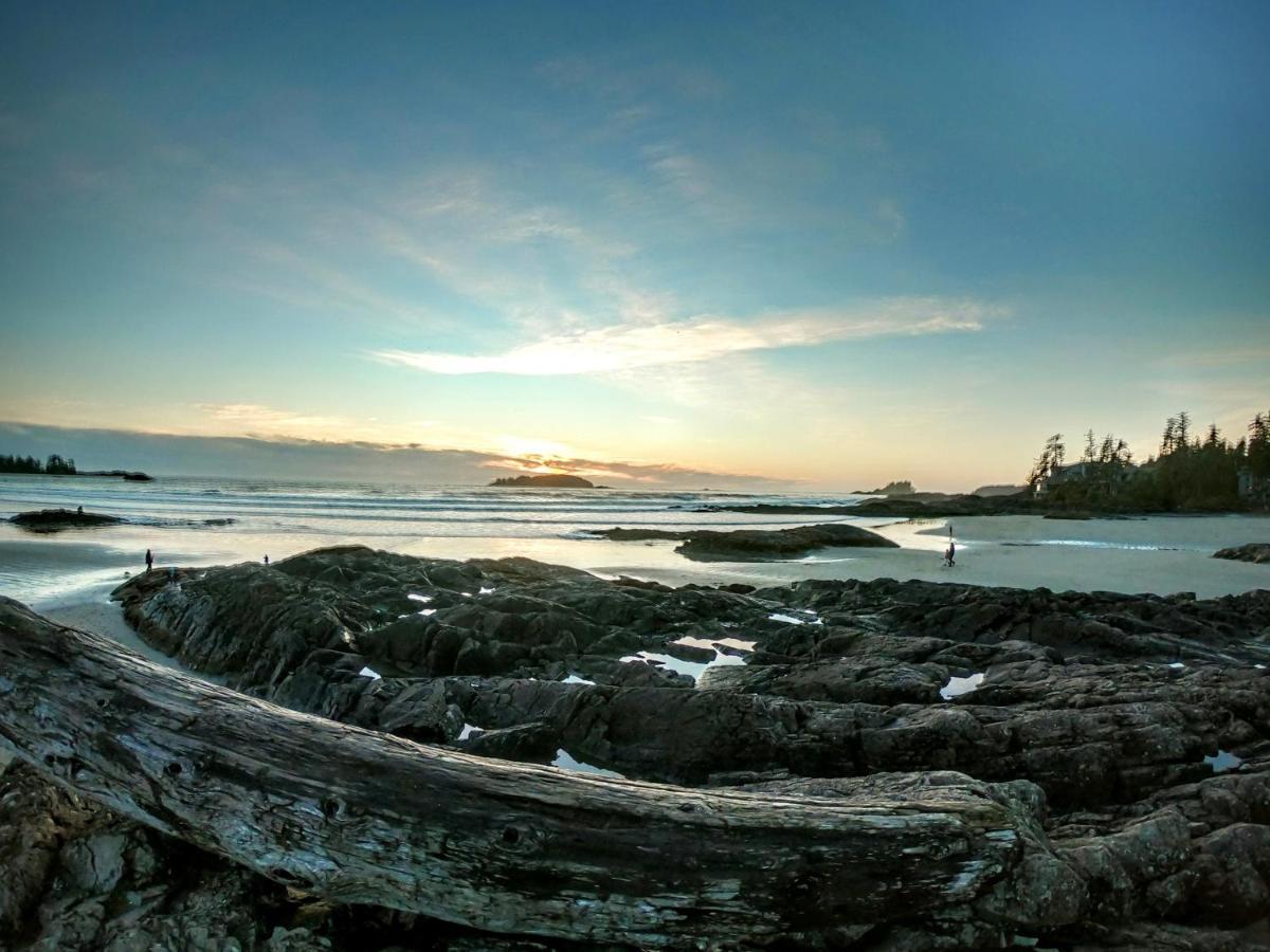 Cobble Wood And Bird Sanctuary Guest Houses Tofino Dış mekan fotoğraf