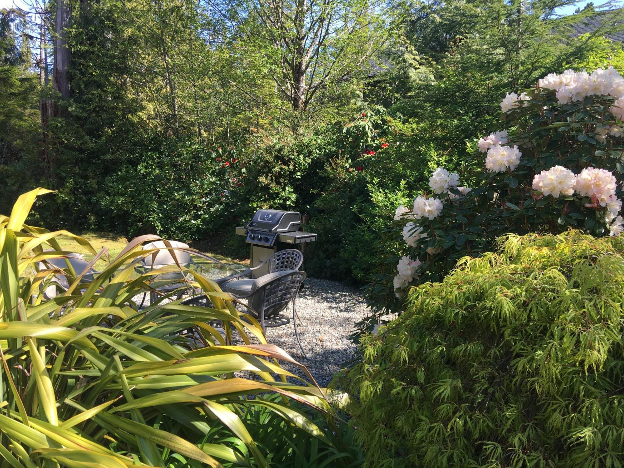 Cobble Wood And Bird Sanctuary Guest Houses Tofino Dış mekan fotoğraf