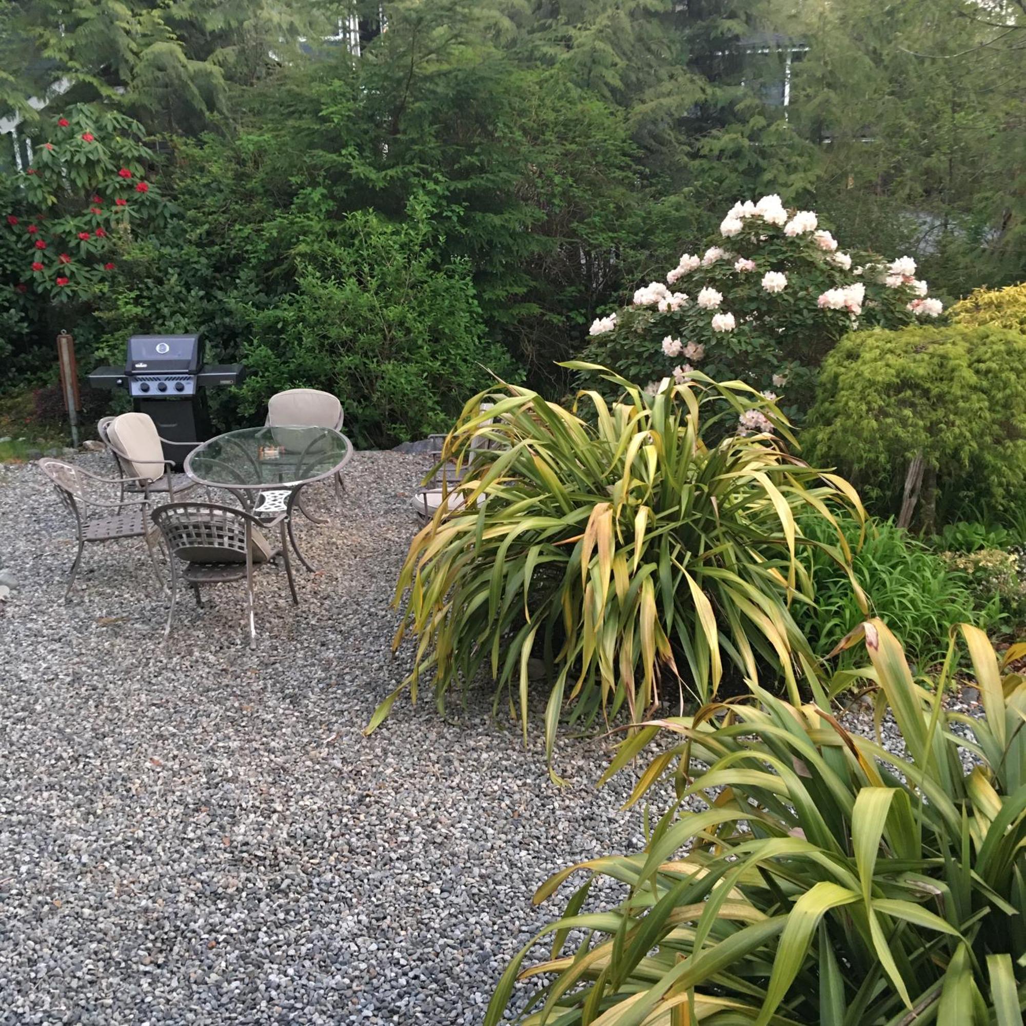 Cobble Wood And Bird Sanctuary Guest Houses Tofino Dış mekan fotoğraf