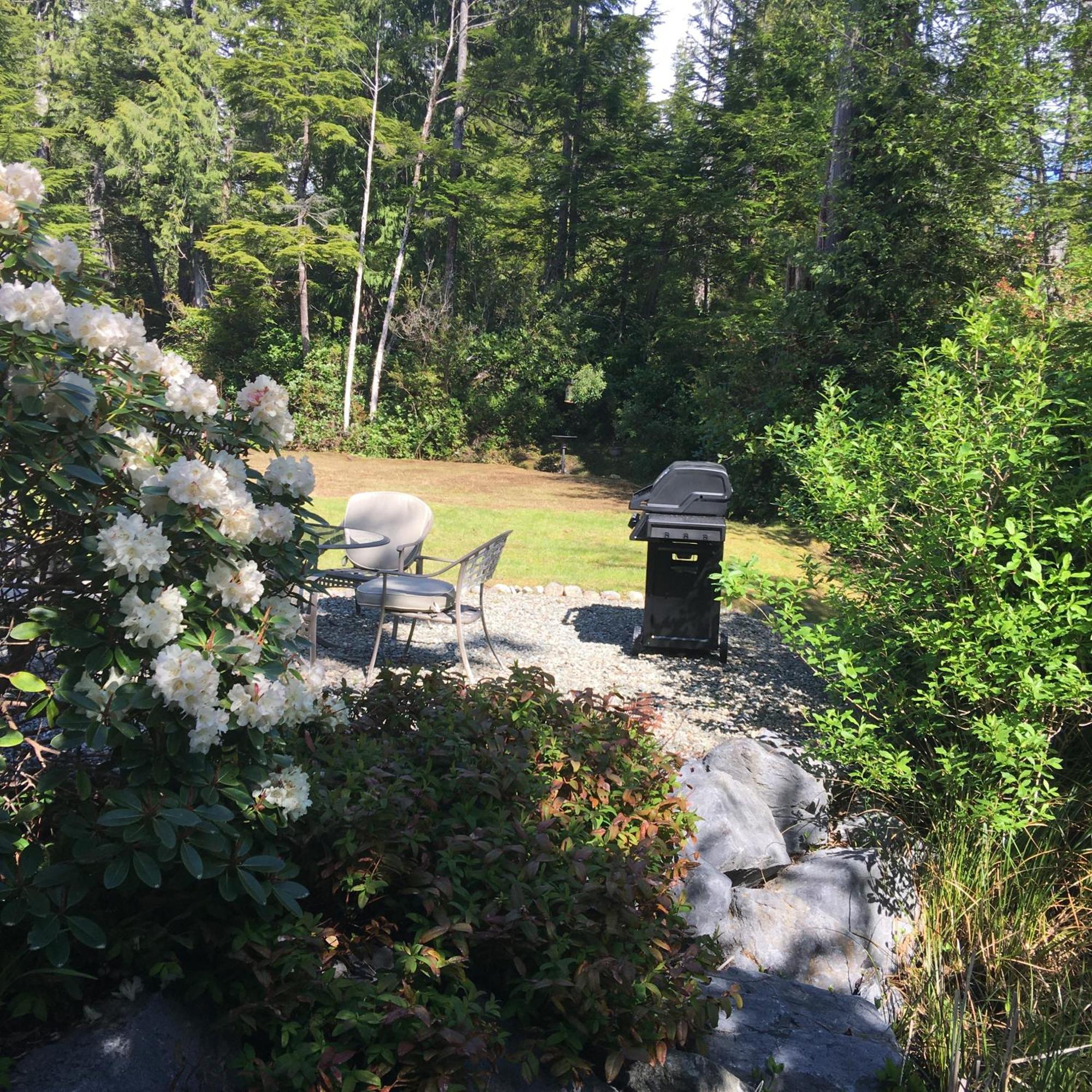 Cobble Wood And Bird Sanctuary Guest Houses Tofino Dış mekan fotoğraf